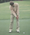 ben crenshaw hits putt